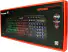 TECLADO GAMER FORTREK SPIDER LED RAINBOW USB - Imagem: 4
