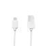 CABO USB LIGHTNING 1M FAM - Imagem: 1
